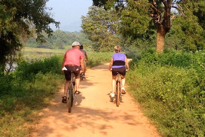 Dambulla and Sigiriya Cycling Tour from Colombo - What We Think About the Value