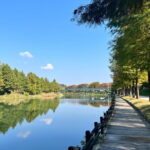 Damyang Bamboo Forest Tour (Private) - The Practical Side: Value & Details