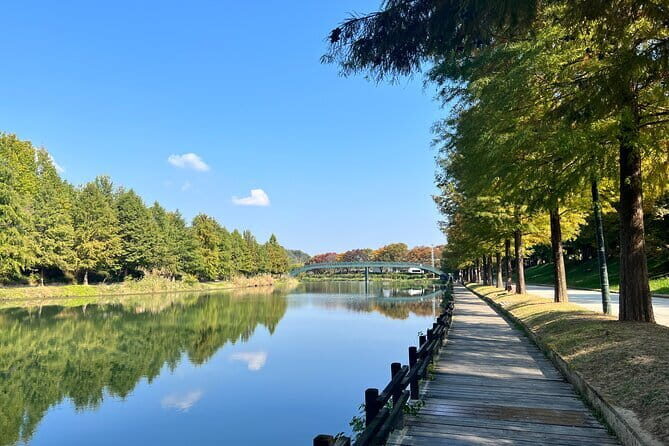 Damyang Bamboo Forest Tour (Private) - The Practical Side: Value & Details