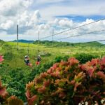 Danasan Eco Adventure Park Including Round-Trip Hotel Transfer - The Itinerary Breakdown