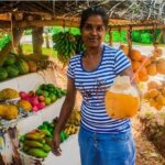 Day Excursion To Polonnaruwa City From Colombo - Authentic Insights from Reviews