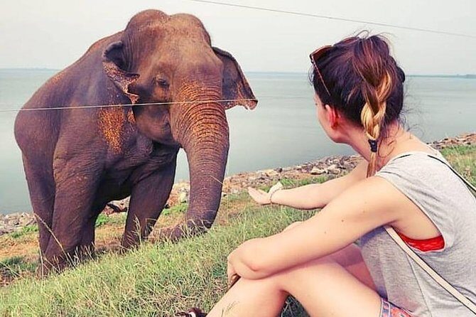 Day Excursions to Udawalawe From Wadduwa - Who Would Love This Tour?