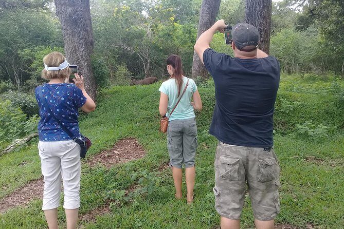 Day execution trincomalee to Wild safari willpattu national park - Who Is This Tour Best For?