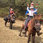 Day Pony Trek From Pokhara - What’s Included & What To Keep in Mind