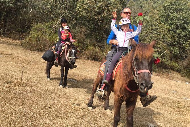 Day Pony Trek From Pokhara - What’s Included & What To Keep in Mind