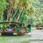 Day Swing to Bohol - Authentic Experiences & Real Insights