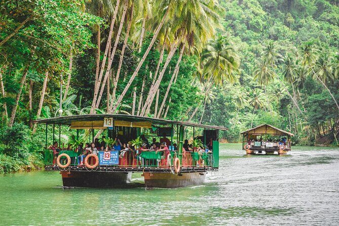 Day Swing to Bohol - Authentic Experiences & Real Insights