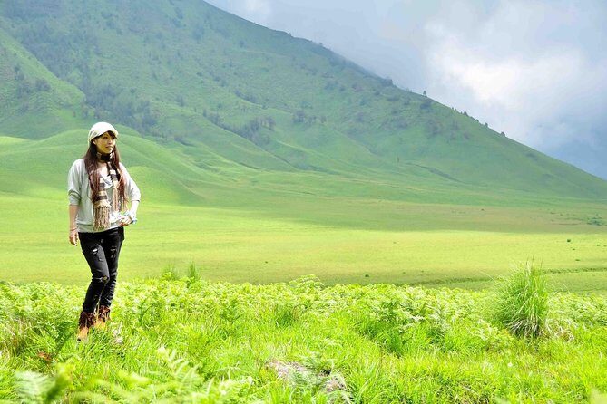 Day Tour - Golden Sunrise Mount Bromo via Malang (Sharing Tour) - The Full Experience: What You Can Expect