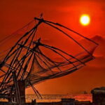 Day Tour in Alleppey and Cochin with Backwater Cruise and Beach - Transportation and Overall Value