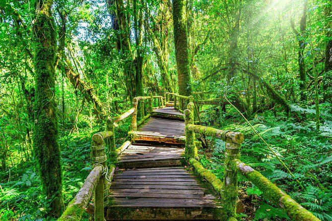 Day Tour in Doi Inthanon National Park & 2 Hour-Hiking with Lunch - The Experience We Loved