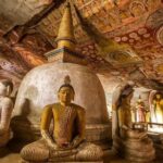 Day Tour to Dambulla & Sigiriya - Final Thoughts: Who Should Consider This Tour?
