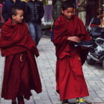 Day Trip from Dharamshala To Namgyal Monastery - The Deep Dive into Tibetan Spirituality