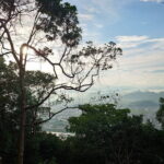 Day Trip Gifu Highlight Tour by Public Transportation from Nagoya - Who Would Love This Tour?