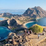 Day Trip Komodo Island With Speedboat in Labuhan Bajo - FAQ About This Komodo Island Day Trip