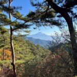 Day Trip Shosen Valley from Tokyo - The Overall Value: Is It Worth It?
