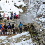 Day Trip Snow Monkey in Nagano from Tokyo by bullet train - Walking Through the Forest to Meet the Monkeys