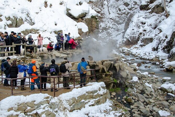 Day Trip Snow Monkey in Nagano from Tokyo by bullet train - Walking Through the Forest to Meet the Monkeys