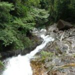 Day-Trip to Gunung Gading Rafflesia Centre from Kuching City - What’s Included and Practical Tips