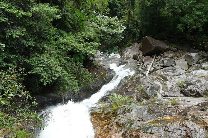 Day-Trip to Gunung Gading Rafflesia Centre from Kuching City - What’s Included and Practical Tips