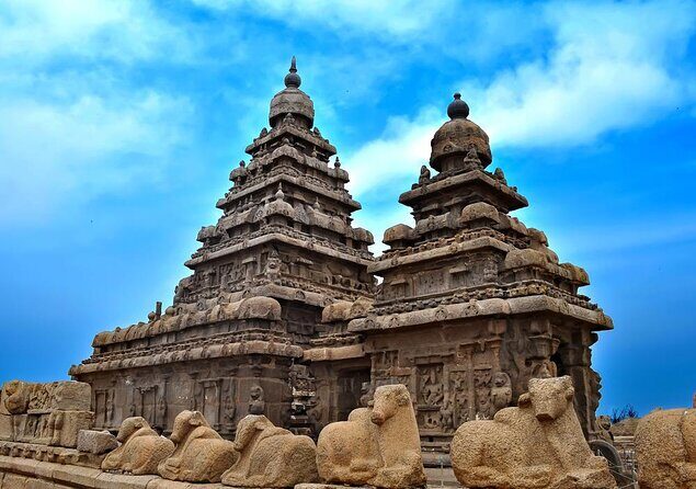 Day Trip to Mahabalipuram (Curated Private Sightseeing Experience) - A Deep Dive into the Experience