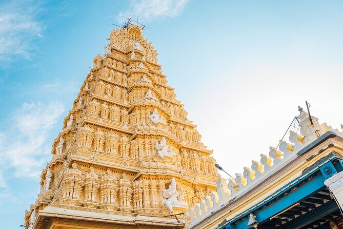 Day Trip to Mysore (Guided Private Sightseeing Experience from Bangalore) - Final Thoughts