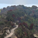 Day Trip to Nature Trails (Guided Private Sightseeing Experience from Bangalore) - Who Should Consider This Tour?