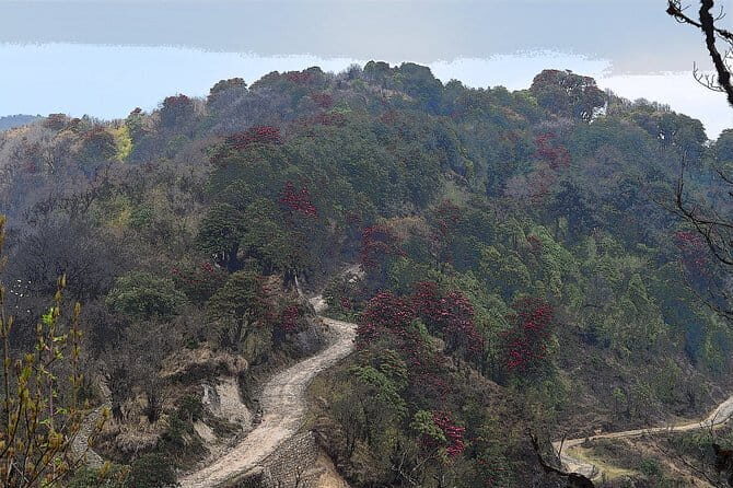 Day Trip to Nature Trails (Guided Private Sightseeing Experience from Bangalore) - Who Should Consider This Tour?