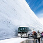 Day Trip to Tateyama Kurobe Alpine Route from Nagoya - In-Depth Look at the Itinerary