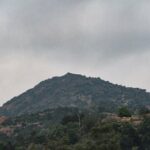 Day trip to Tiruvannamalai Temple &Sri Ramana Ashram from Pondicherry with lunch - Who Should Consider This Tour?