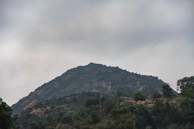 Day trip to Tiruvannamalai Temple &Sri Ramana Ashram from Pondicherry with lunch - Who Should Consider This Tour?