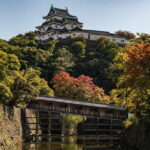 Day Trip Wakayama Tour from Osaka - Practical Considerations and What to Expect