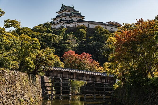 Day Trip Wakayama Tour from Osaka - Practical Considerations and What to Expect