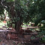 Delhi Haunted and Creepy Ruins Discovery - Practical Details and Value
