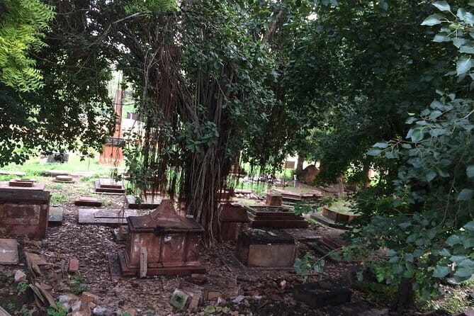 Delhi Haunted and Creepy Ruins Discovery - Practical Details and Value