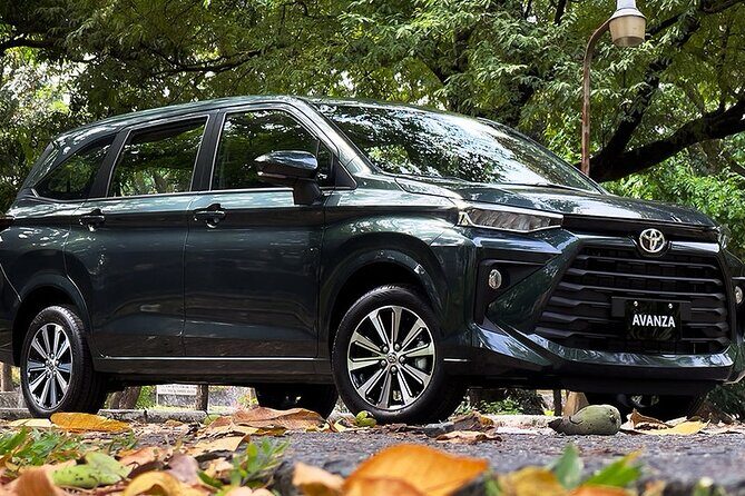 Departure Private Transfer Kuta to Bali Denpasar Airport DPS by Minivan - Final Thoughts