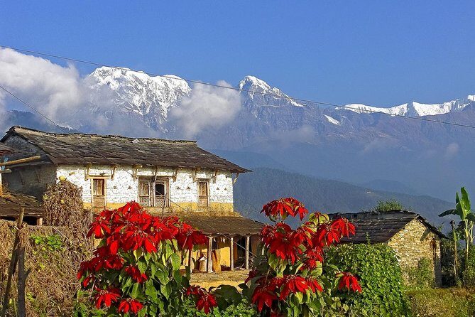 Dhampus Day Hiking from Pokhara - The Detailed Itinerary