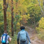Dhampus Day Hiking Tour from Pokhara - The Experience in Detail: What You’ll Love