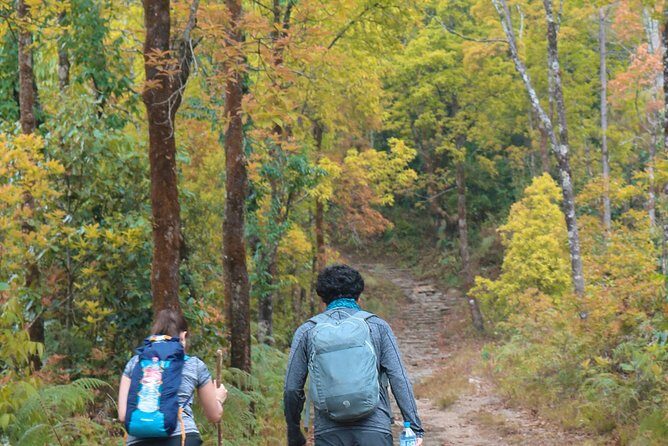 Dhampus Day Hiking Tour from Pokhara - The Experience in Detail: What You’ll Love