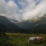 Dhorpatan Private Guided Trek - Final Thoughts: Who Is This Trek Best For?