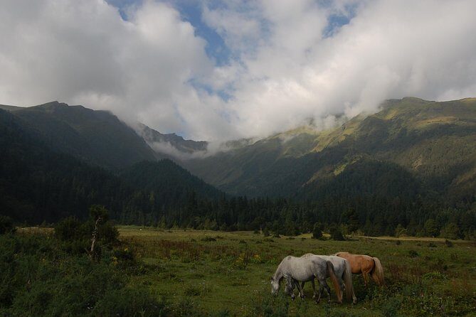 Dhorpatan Private Guided Trek - Final Thoughts: Who Is This Trek Best For?