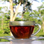 Dibrugarh Tea Tour, Singpho village with lunch, Digboi oil museum - Who Would Enjoy This Tour?