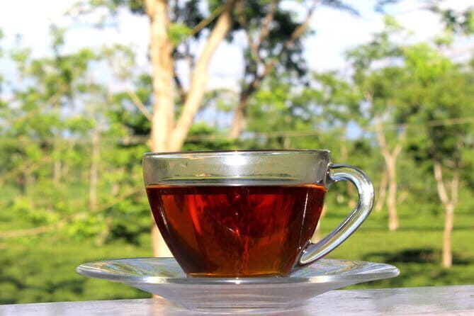 Dibrugarh Tea Tour, Singpho village with lunch, Digboi oil museum - Who Would Enjoy This Tour?