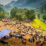 Discover Bac Ha Market: Culture & Scenic View - The Main Event: Bac Ha Market