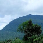 Discover Bokor National Park - The Reality Behind the Reviews