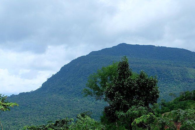 Discover Bokor National Park - The Reality Behind the Reviews