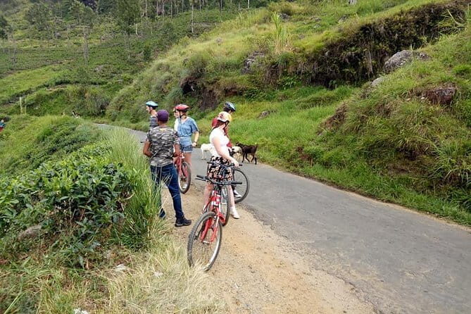 Discover Ella by Cycling - The Sum Up