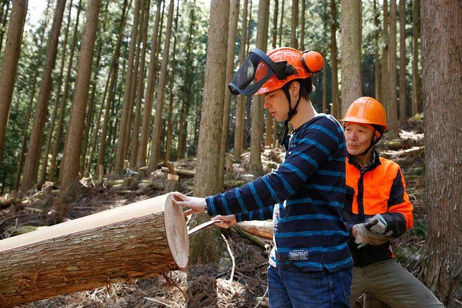 Discover Forester's Life tour (1-day) - Who Will Love This Tour?