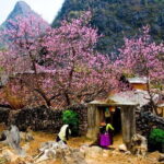 Discover Hagiang 4 Days 3 Nights - Practical Considerations
