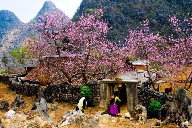 Discover Hagiang 4 Days 3 Nights - Practical Considerations