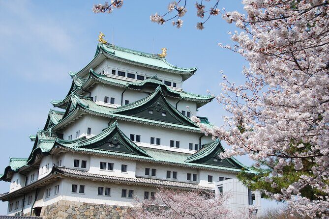 Discover Japan tour - Final Thoughts
